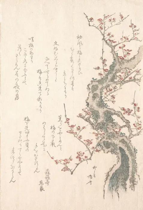 Framed Print : Spring Rain Collection (Harusame shu), vol. 1: Plum Tree in Bloom, ca. 1805-10. ca Framed Print : Spring Rain Collection (Harusame shu), vol. 1: Plum Tree in Bloom, ca. 1805-10. ca