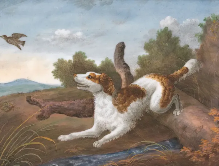 Framed Print : Springer: A Spaniel Bounding Over a Log to Spring a Snipe on the Left, ca. 1805 Framed Print : Springer: A Spaniel Bounding Over a Log to Spring a Snipe on the Left, ca. 1805