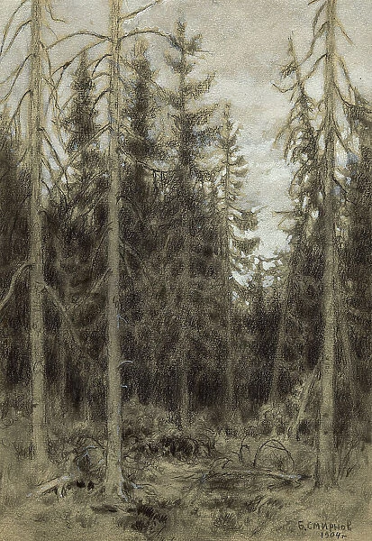 Spruce Taiga near Irkutsk, 1904. Creator: Boris Vasilievich Smirnov