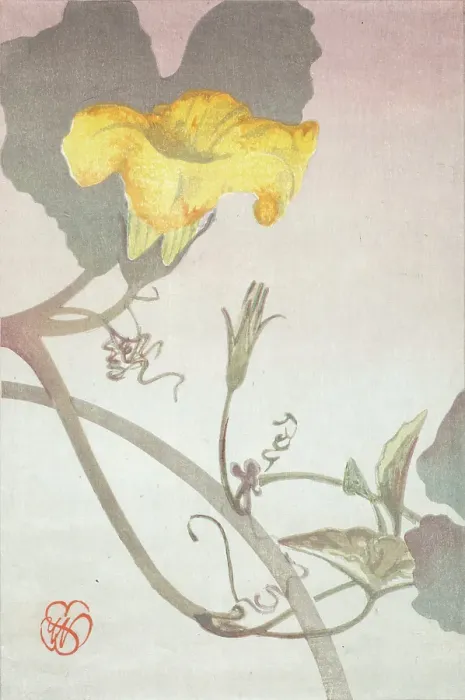 Framed Print : Squash Blossom, about 1908. Creator: Wilhelmina Seegmiller Framed Print : Squash Blossom, about 1908. Creator: Wilhelmina Seegmiller
