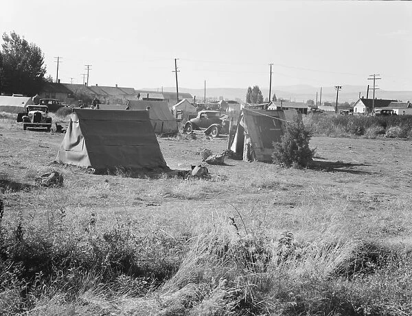 Squatter camp entering potato town, Malin, Klamath County, Oregon, 1939. Creator: Dorothea Lange