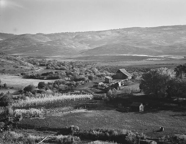Squaw Valley farm, Gem County, Idaho, 1939. Creator: Dorothea Lange
