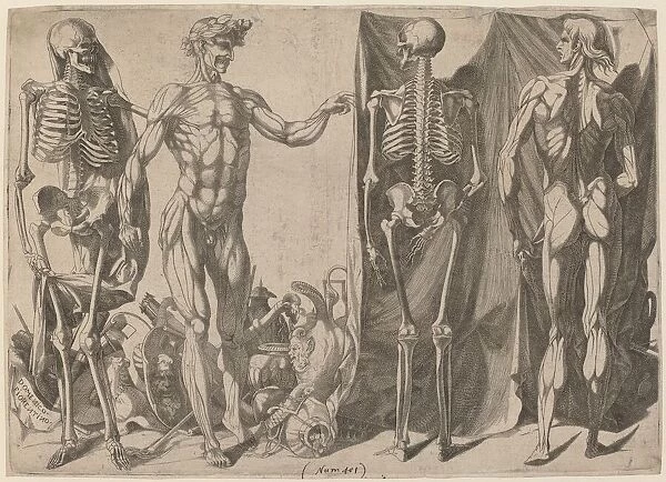 Squelettes et Écorchés, c. 1540-1545. Creator: Domenico del Barbiere