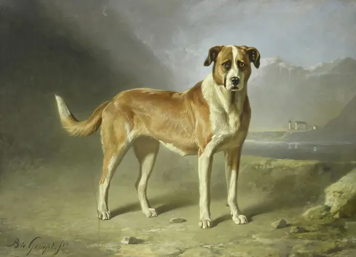 Framed Print : A St Bernard Dog, c.1850-c.1879. Creator: Bernard te Gempt Framed Print : A St Bernard Dog, c.1850-c.1879. Creator: Bernard te Gempt