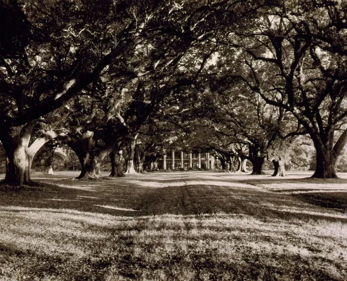 Framed Print : St. James Parish--Oak Alley, Vacherie, 1938. Creator: Frances Benjamin Johnston Framed Print : St. James Parish--Oak Alley, Vacherie, 1938. Creator: Frances Benjamin Johnston