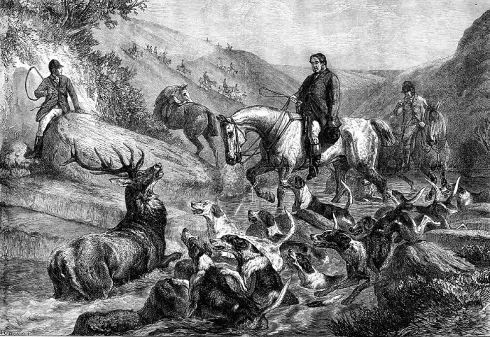 Framed Print : A Stag at Bay on Exmoor Forest, by S. Carter, 1871. Creator: J Greenaway Framed Print : A Stag at Bay on Exmoor Forest, by S. Carter, 1871. Creator: J Greenaway
