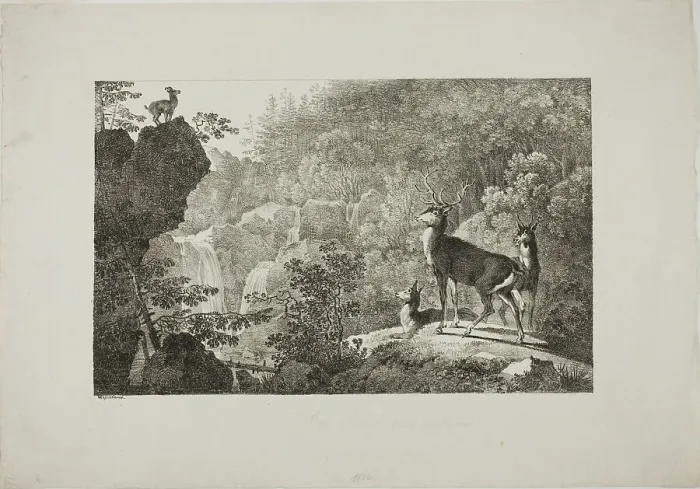 Framed Print : The Stag and the Chamois, n.d. Creator: Max Josef Wagenbauer Framed Print : The Stag and the Chamois, n.d. Creator: Max Josef Wagenbauer