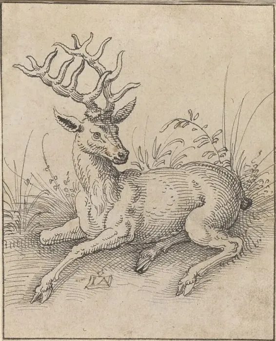 Framed Print : The Stag. Creator: Jost Ammon Framed Print : The Stag. Creator: Jost Ammon