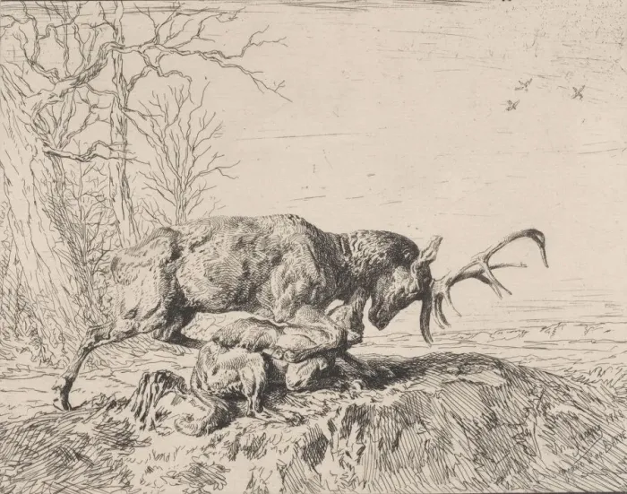 Framed Print : Stag Fighting a Wolf, after Antoine Louis Barye, 1846. Creator: Charles Emile Jacque Framed Print : Stag Fighting a Wolf, after Antoine Louis Barye, 1846. Creator: Charles Emile Jacque