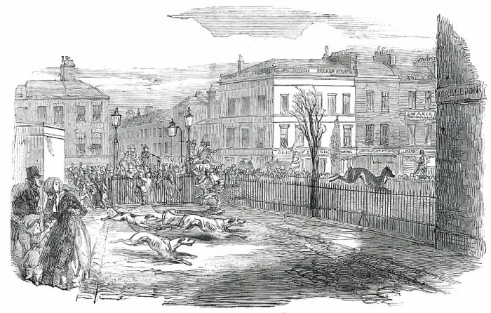 Framed Print : Stag Hunt in the New-Road on Tuesday, 1850. Creator: Unknown Framed Print : Stag Hunt in the New-Road on Tuesday, 1850. Creator: Unknown
