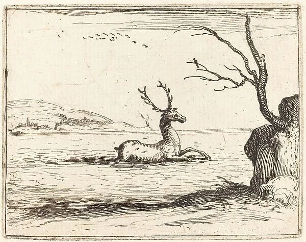 Stag in the Water, 1628. Creator: Jacques Callot