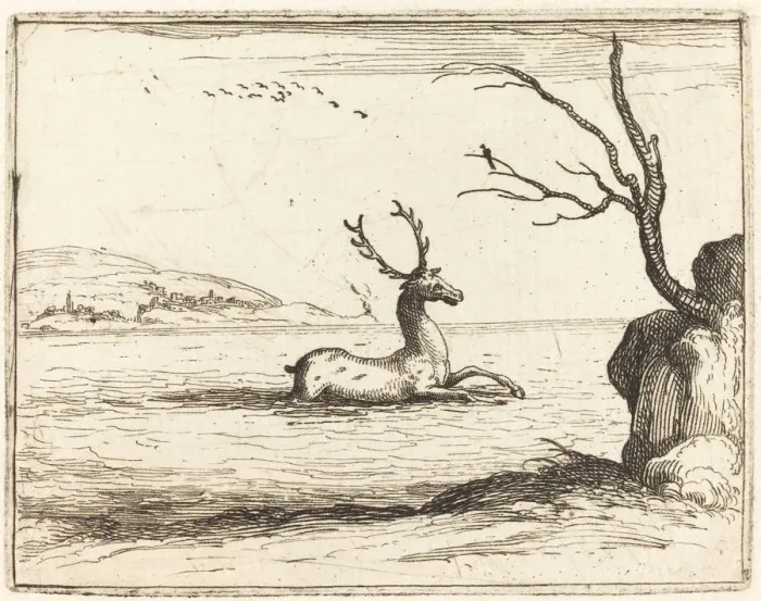 Framed Print : Stag in the Water, 1628. Creator: Jacques Callot Framed Print : Stag in the Water, 1628. Creator: Jacques Callot