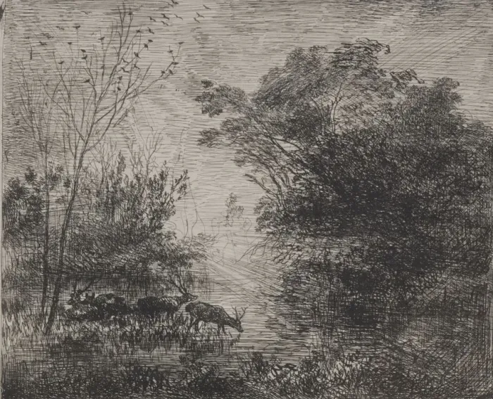 Framed Print : Stags, 1862. Creator: Charles Francois Daubigny (French, 1817-1878) Framed Print : Stags, 1862. Creator: Charles Francois Daubigny (French, 1817-1878)