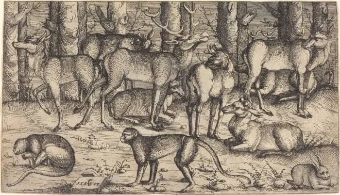 Framed Print : Stags in the Forest, 1545. Creator: Augustin Hirschvogel Framed Print : Stags in the Forest, 1545. Creator: Augustin Hirschvogel