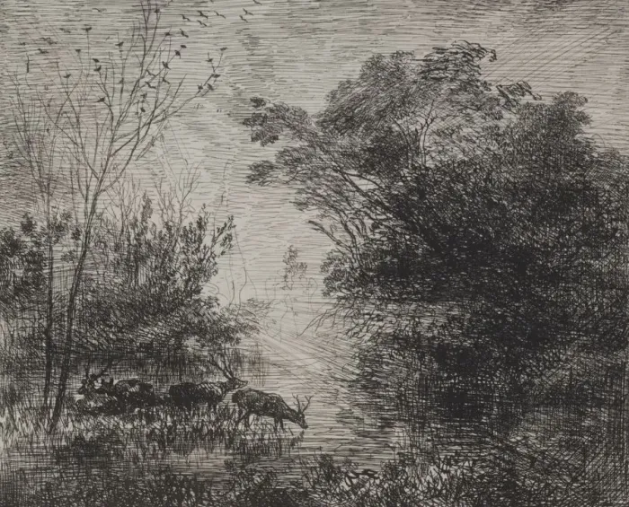 Framed Print : Stags, original impression 1862, printed in 1921. Creator: Charles Francois Daubigny (French Framed Print : Stags, original impression 1862, printed in 1921. Creator: Charles Francois Daubigny (French