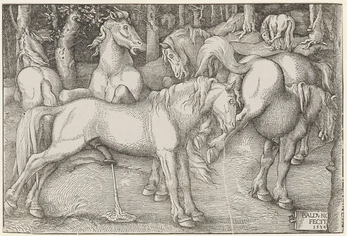 Framed Print : Stallion and Kicking Mare, 1534. Creator: Baldung (Baldung Grien), Hans (1484-1545) Framed Print : Stallion and Kicking Mare, 1534. Creator: Baldung (Baldung Grien), Hans (1484-1545)