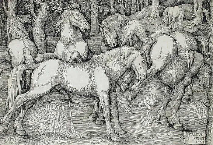 Framed Print : Stallion and Kicking Mare with Wild Horses, 1534. Creator: Hans Baldung Framed Print : Stallion and Kicking Mare with Wild Horses, 1534. Creator: Hans Baldung