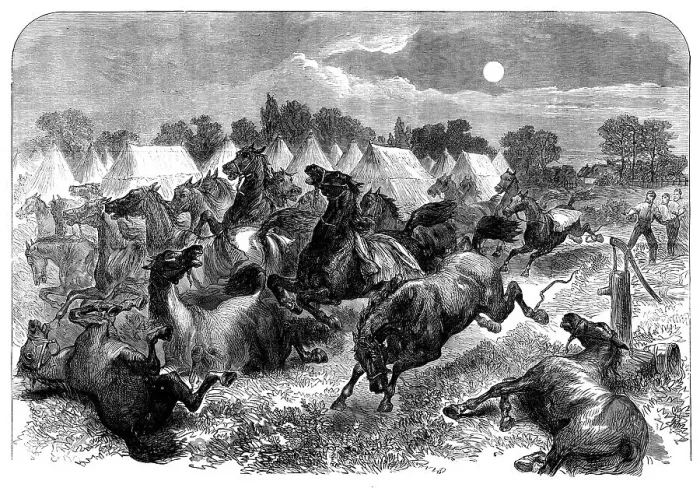 Framed Print : Stampede of cavalry horses at Aldershott Camp, 1871. Creator: Unknown Framed Print : Stampede of cavalry horses at Aldershott Camp, 1871. Creator: Unknown