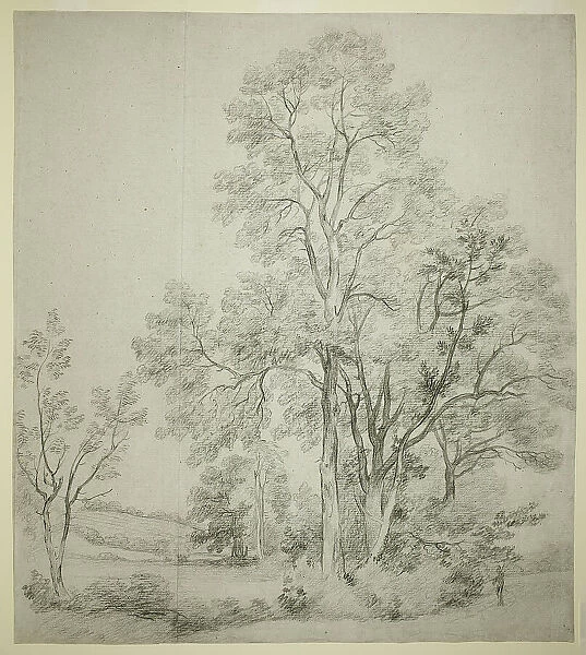 A Stand of Elm Trees (recto); A Study of East Bergholt with the Church (verso), c. 1802. Creator: John Constable