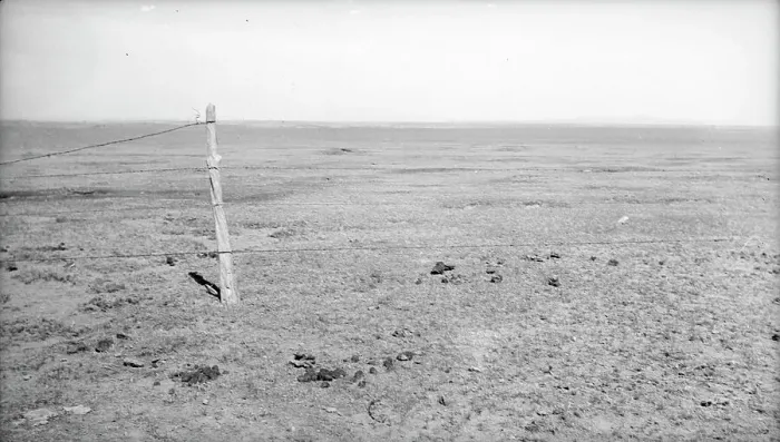 Framed Print : Stand of vega grass eaten off close, New Mexico, 1935. Creator: Dorothea Lange Framed Print : Stand of vega grass eaten off close, New Mexico, 1935. Creator: Dorothea Lange