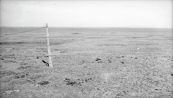 Stand of vega grass eaten off close, New Mexico, 1935. Creator: Dorothea Lange