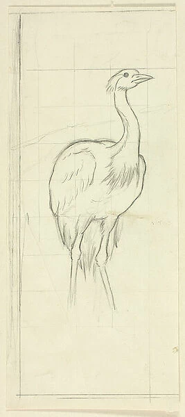 Standing Bird, n. d. Creator: Henry Stacy Marks