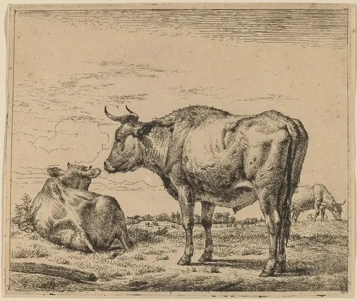 Framed Print : Standing Bull, c. 1657 / 1659. Creator: Adriaen van de Velde