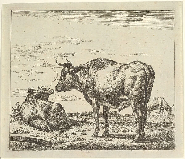 Standing Bull, from Different Animals. Creator: Adriaen van de Velde