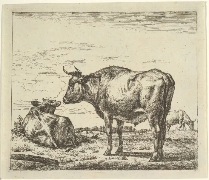 Framed Print : Standing Bull, from Different Animals. Creator: Adriaen van de Velde Framed Print : Standing Bull, from Different Animals. Creator: Adriaen van de Velde