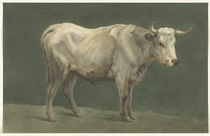 Framed Print : Standing bull, to the right, 1775-1833. Creator: Jean Bernard Framed Print : Standing bull, to the right, 1775-1833. Creator: Jean Bernard