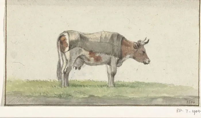 Framed Print : Standing cow, to the right, 1816. Creator: Jean Bernard Framed Print : Standing cow, to the right, 1816. Creator: Jean Bernard