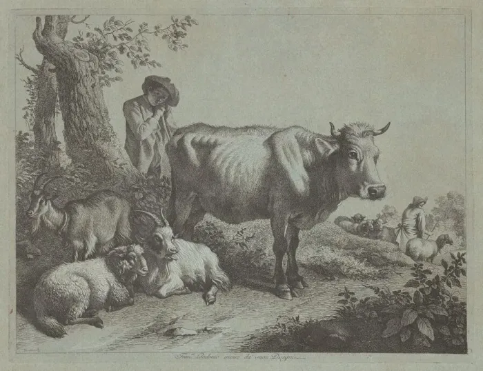 Framed Print : Standing Cow and a Shepherd Boy with Flock, 1760s. Creator: Francesco Londonio Framed Print : Standing Cow and a Shepherd Boy with Flock, 1760s. Creator: Francesco Londonio