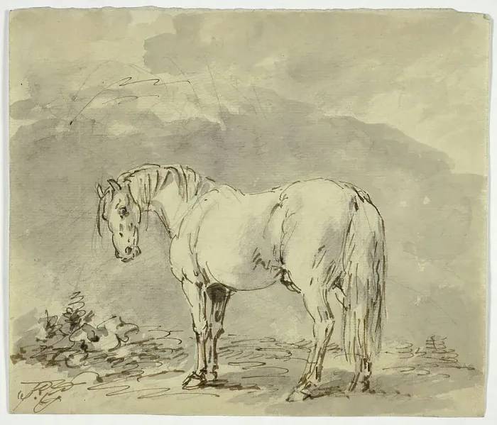 Framed Print : Standing Horse with Head Turned, n.d. Creator: Sawrey Gilpin Framed Print : Standing Horse with Head Turned, n.d. Creator: Sawrey Gilpin