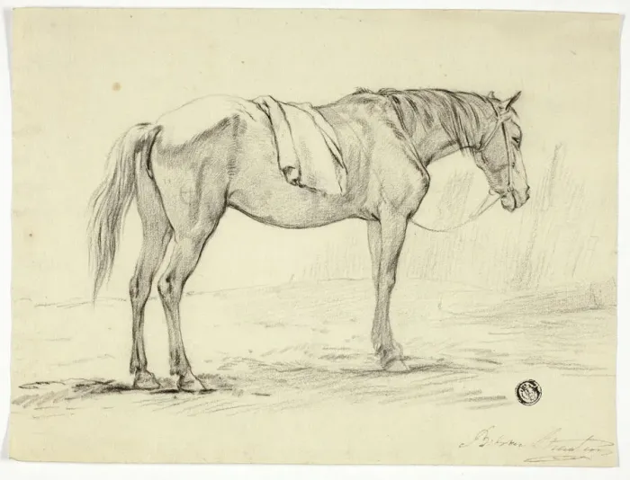 Framed Print : Standing Horse, n. d. Creator: Unknown Framed Print : Standing Horse, n. d. Creator: Unknown