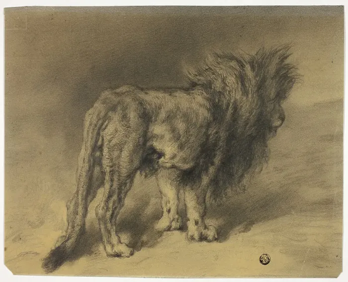 Framed Print : Standing Lion with Shaggy Mane, n.d. Creator: Frederik William Zurcher Framed Print : Standing Lion with Shaggy Mane, n.d. Creator: Frederik William Zurcher