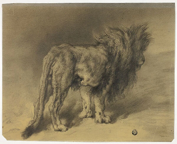 Standing Lion with Shaggy Mane, n.d. Creator: Frederik William Zurcher