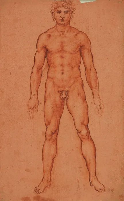 Framed Print : Standing male nude, 1503-1506. Creator: Leonardo da Vinci (1452-1519) Framed Print : Standing male nude, 1503-1506. Creator: Leonardo da Vinci (1452-1519)