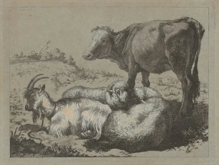 Framed Print : Standing Ox, Two Sheep, and a Goat, c. 1762. Creator: Francesco Londonio Framed Print : Standing Ox, Two Sheep, and a Goat, c. 1762. Creator: Francesco Londonio