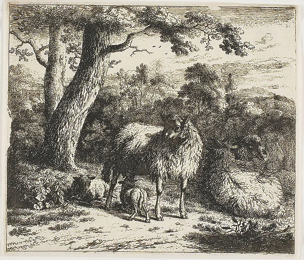 Standing Sheep and Two Lambs, 1685. Creator: Jan van der Meer