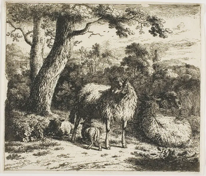 Framed Print : Standing Sheep and Two Lambs, 1685. Creator: Jan van der Meer Framed Print : Standing Sheep and Two Lambs, 1685. Creator: Jan van der Meer
