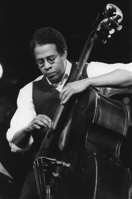 Framed Print : Stanley Clarke, 1995. Creator: Brian Foskett Framed Print : Stanley Clarke, 1995. Creator: Brian Foskett