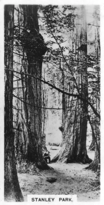 Framed Print : Stanley Park, Vancouver, Canada, c1920s Framed Print : Stanley Park, Vancouver, Canada, c1920s