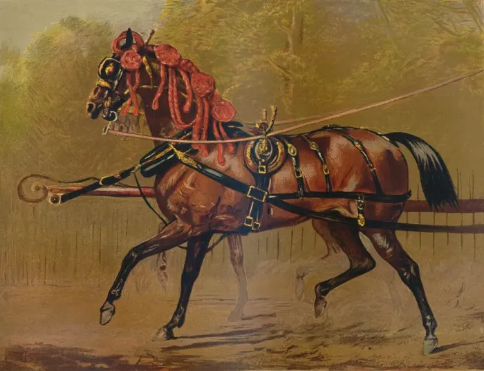 Framed Print : A State Carriage Horse, c1879. Creator: Unknown Framed Print : A State Carriage Horse, c1879. Creator: Unknown