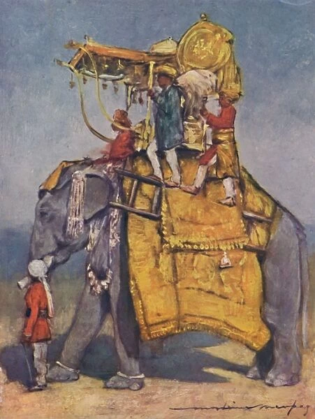 A State Elephant in all its Trappings, 1903. Artist: Mortimer L Menpes