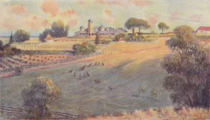 Framed Print : A Station Homestead, 1923. Creator: Unknown Framed Print : A Station Homestead, 1923. Creator: Unknown