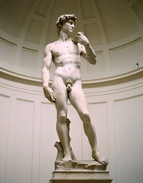 Statue of David, Accademia Gallery, Florence, Italy