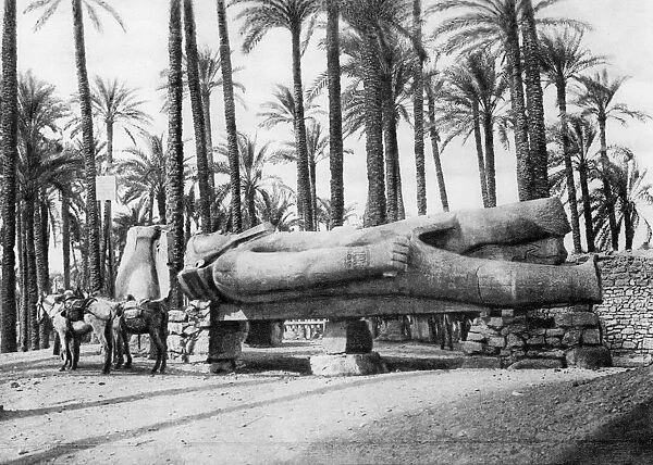 The Statue of Rameses II, Cairo, Egypt, c1920s