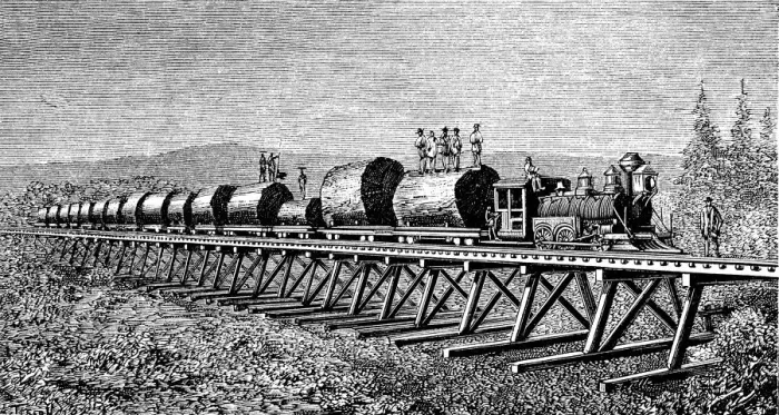 Framed Print : Steam train carrying trunks of giant trees in California, engraving of 1886 Framed Print : Steam train carrying trunks of giant trees in California, engraving of 1886