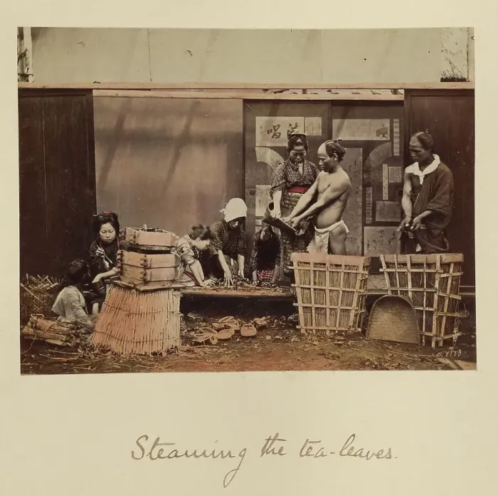Framed Print : Steaming the Tea Leaves, about 1873-1883. Creator: Shinichi Suzuki I Framed Print : Steaming the Tea Leaves, about 1873-1883. Creator: Shinichi Suzuki I