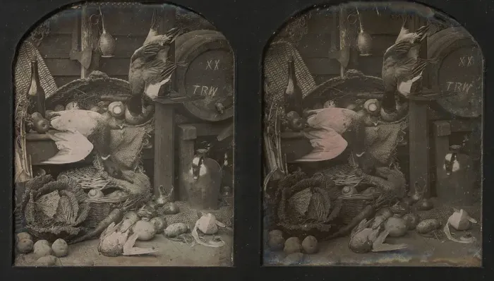 Framed Print : Stereograph Still-life of Fowl with Initialed Barrel and Root Vegetables, 1850s Framed Print : Stereograph Still-life of Fowl with Initialed Barrel and Root Vegetables, 1850s